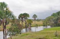 Muitos igarapés e bela paisagem no trecho asfaltado da viagem entre Macapá e Oiapoque - AP